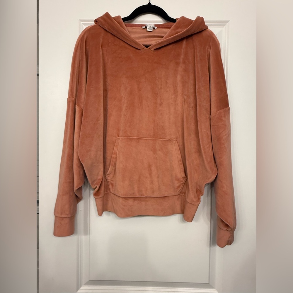 American Eagle Outfitters Women's Pink Velvet Hoodie Sweatshirt Size Large